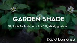fully shady gardens