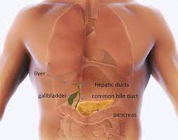 cholecystectomy gallbladder removal