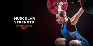 muscular strength defined explained