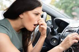 vehicle odor removal call 954 944