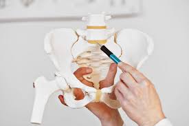 lumbosacral joint l5 s1 where it is