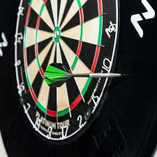 Pinpoint Dartboard Surround Net World