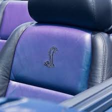 The Mystichrome Leather Seats In The