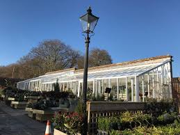 victorian greenhouse replacement for