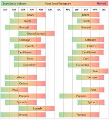 Nevada Vegetable Planting Calendar