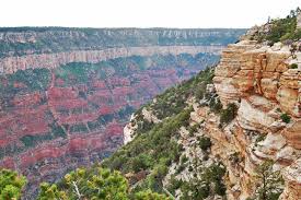 This covers everything from disney, to harry potter, and even emma stone movies, so get ready. Grand Canyon Fun Facts 9 Things You Didn T Know