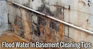 Basement Flood Cleanup Tips