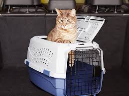 12 best cat carriers of 2023 top