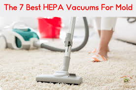 the 7 best hepa vacuums for mold mold