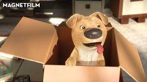 The Present | A Short Film by Jacob Frey - YouTube