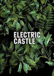 Synopsis  edit source. Electric Castle 2019 Festicket
