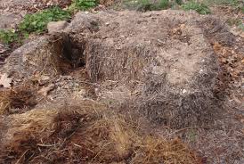 straw bale garden decompose