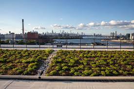 Green Roofs At The Brooklyn Navy Yard