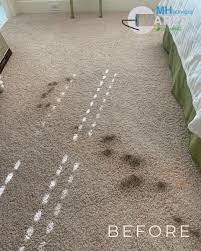 carpet cleaning monroe charlotte