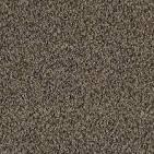 My favorite carpet Archives - Mercer Carpet One