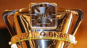 Image result for copa do brasil 2015