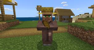 Zombies pick up doors after destroying them most of the time. Do Villagers Despawn In Minecraft