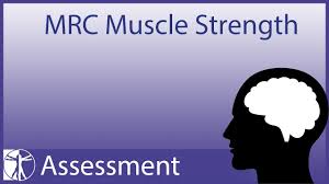 Mrc Muscle Strength Updated Version In Description