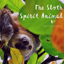 Asl sign for sloth animal. Sloth Spirit Animal Sloth S Symbolism Folklore And Messages