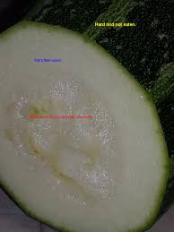 I find it extremely nourishing and cooling, especially now that i am down with a cold. Marrow Vegetable Wikipedia