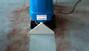 commercial carpet cleaner charis dual