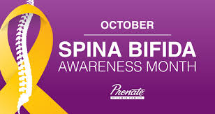 spina bifida folic acid what you