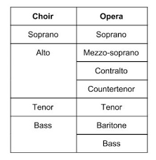 Too Many Sopranos Operatic Voice Types