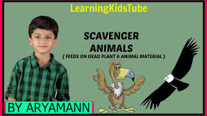 A quick, easy, humorous rpg about exploring derelict space ships and getting rich off the loot! Scavenger Animal Feeds On Dead Plant And Animal Material By Aryamann Science Lesson Youtube