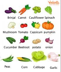 list of vegetable names for kids summary