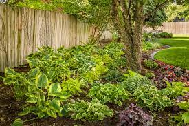 10 Hosta Garden Ideas That Wow Proven