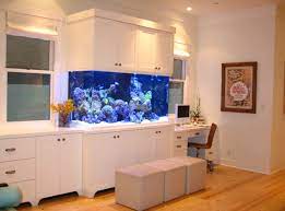 Home Aquarium - The Live Art from Your Room gambar png