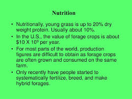ppt forage crops powerpoint