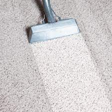 professional carpet cleaning suwanee