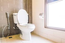 10 Best Upflush Toilets Of 2023