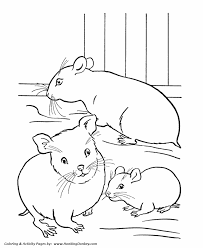 Some of the coloring pages shown here are the worlds catalog of ideas, cute in guinea pig coloring color luna, hamster coloring best coloring for kids, 63 best images about hamtaro on coloring cartoon and hamsters, pet hamster running on. Pet Coloring Page A Family Of Hamsters In A Cage Bear Coloring Pages Animal Coloring Pages Coloring Pages