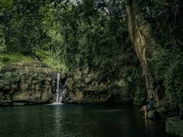 Akan tetapi keindahan alam di sekitarnya mampu menarik banyak wisatawan. 10 Wisata Alam Purbalingga Surga Jawa Tengah Yang Super Memukau Bramakha Com
