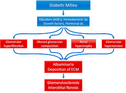 If lifestyle advice does not control your blood glucose levels then medicines are used to help lower these levels. Update On Diabetic Nephropathy Core Curriculum 2018 American Journal Of Kidney Diseases