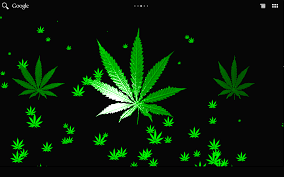 moving weed wallpapers on wallpaperdog