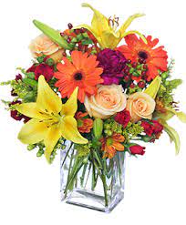Let us take care of your flowers in tallahassee. Best Selling Flowers Tallahassee Fl Elinor Doyle Florist