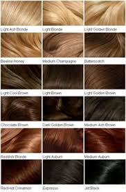 27 Best Butterscotch Hair Color Images Butterscotch Hair