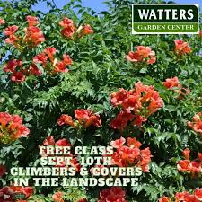 free gardening cles at watters