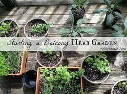 Starting A Balcony Herb Garden Richly