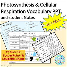 Esl Biology Photosynthesis And Cellular
