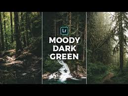 Moody Dark Green Lightroom Preset