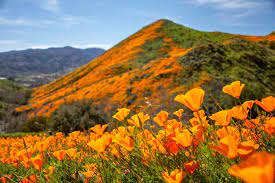 california in april 17 best places to