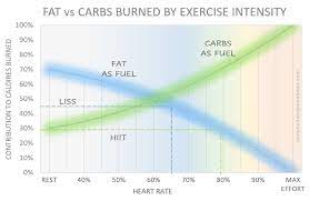 fasted cardio for faster fat loss see