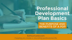 professional development plan basics