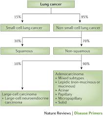 non small cell lung cancer nature