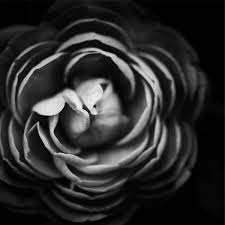 image black and white in coreldraw
