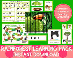 Rainforest learning